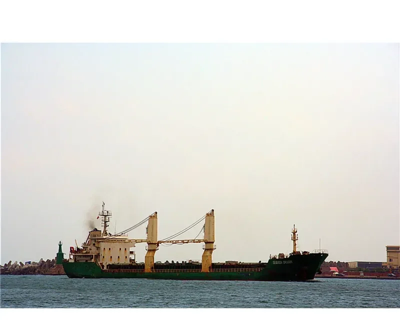JIN CHENG XIN 99 Bulk Carrier IMO 9574626 photo 8