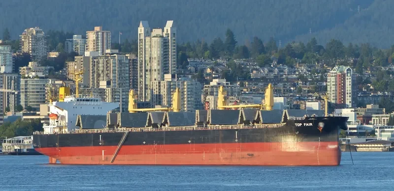 TOP FAIR Bulk Carrier IMO 9574846 photo 5