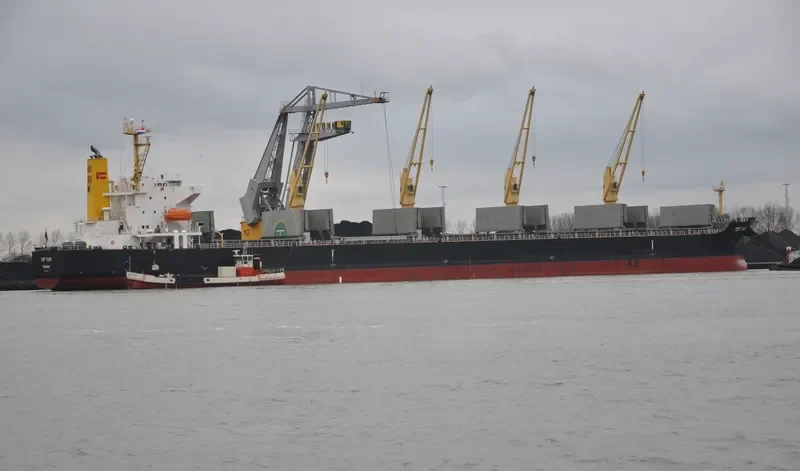 TOP FAIR Bulk Carrier IMO 9574846 photo 8