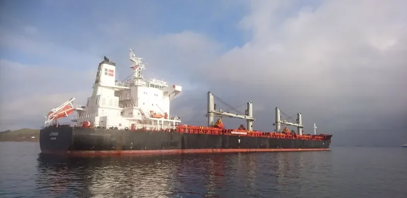 AMARYLLIS Bulk Carrier IMO 9575254 photo 4
