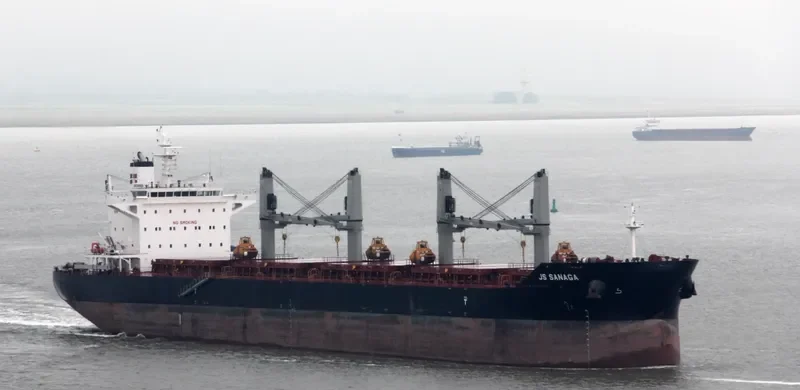 AMARYLLIS Bulk Carrier IMO 9575254 photo 8