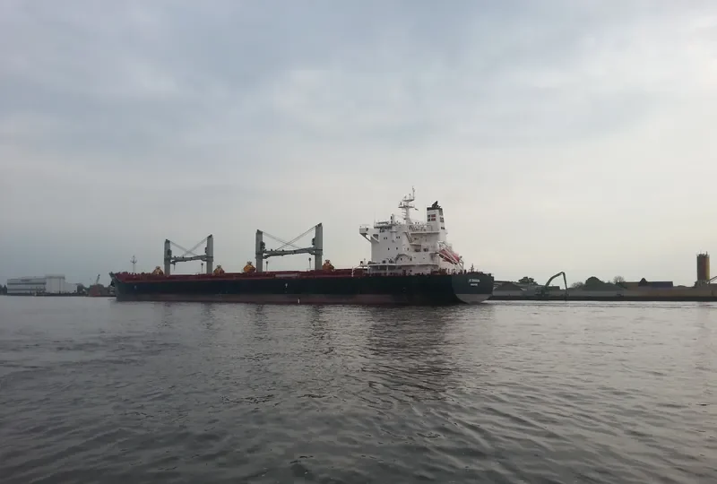 AMARYLLIS Bulk Carrier IMO 9575254 photo 9