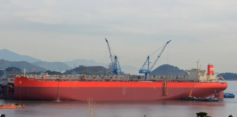 SEA QINGDAO Bulk Carrier IMO 9575450