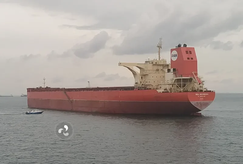 SEA INDONESIA Bulk Carrier IMO 9575474 photo 6