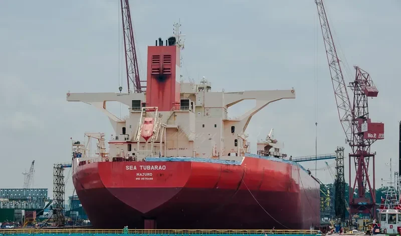 SEA TUBARAO Bulk Carrier IMO 9575498 photo 2