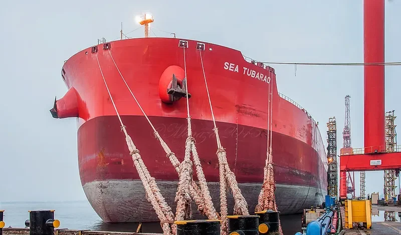 SEA TUBARAO Bulk Carrier IMO 9575498 photo 3