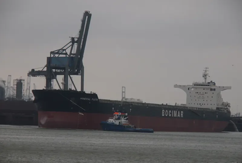 MINERAL FAITH Bulk Carrier IMO 9575668 photo 8