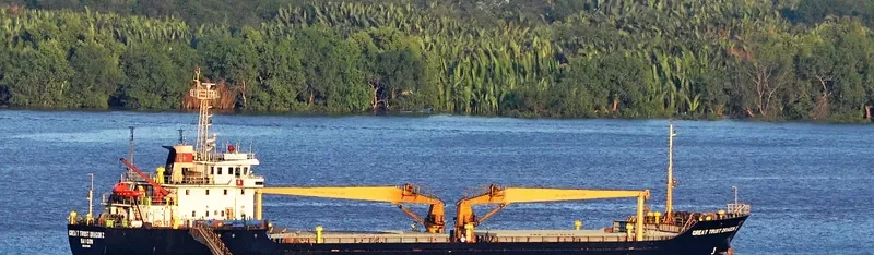 NEW XA LA Bulk Carrier IMO 9575993 photo 2