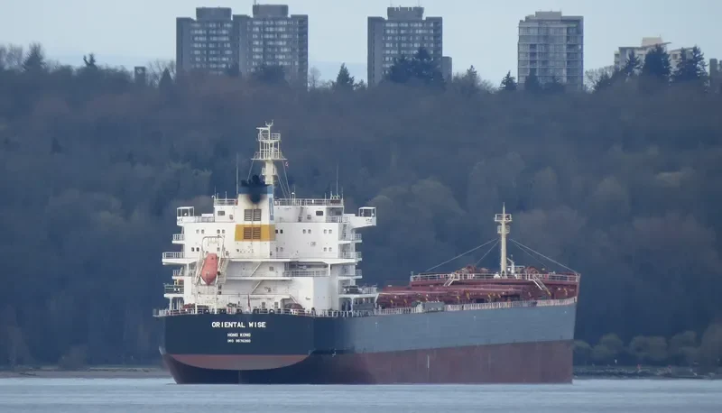 EGYPTIAN MIKE Bulk Carrier IMO 9576260