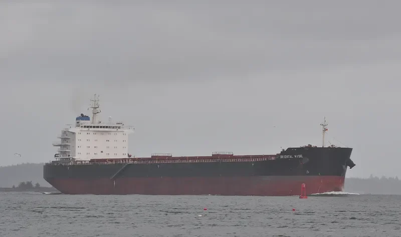 EGYPTIAN MIKE Bulk Carrier IMO 9576260 photo 4