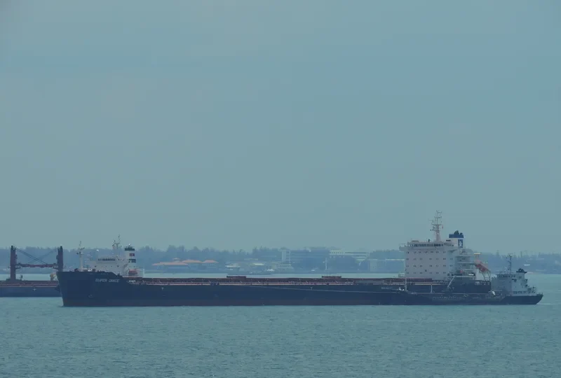 SUPER GRACE Bulk Carrier IMO 9576272 photo 6