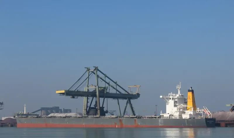 WINNING PROGRESS Bulk Carrier IMO 9576296