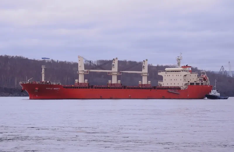 GAO XIN ZHI ZHOU Bulk Carrier IMO 9576313 photo 2