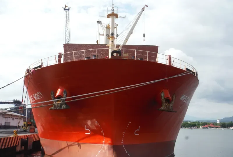 GAO XIN ZHI ZHOU Bulk Carrier IMO 9576313 photo 4