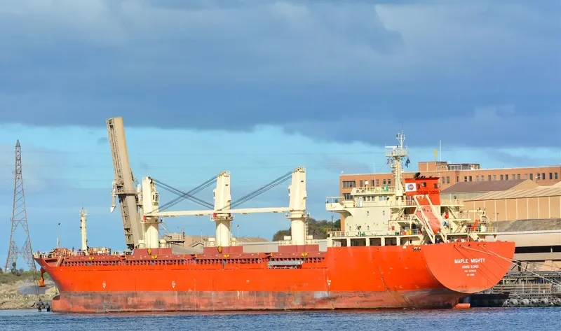 GAO XIN ZHI ZHOU Bulk Carrier IMO 9576313 photo 6