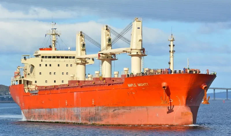GAO XIN ZHI ZHOU Bulk Carrier IMO 9576313 photo 7