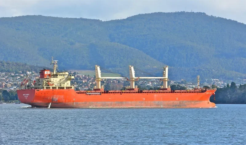 GAO XIN ZHI ZHOU Bulk Carrier IMO 9576313 photo 8