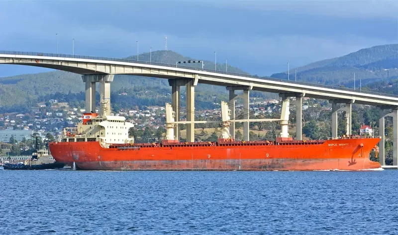 GAO XIN ZHI ZHOU Bulk Carrier IMO 9576313 photo 9