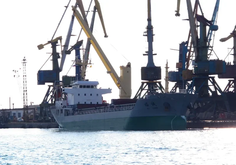 FU CHENG Bulk Carrier IMO 9576325 photo 7