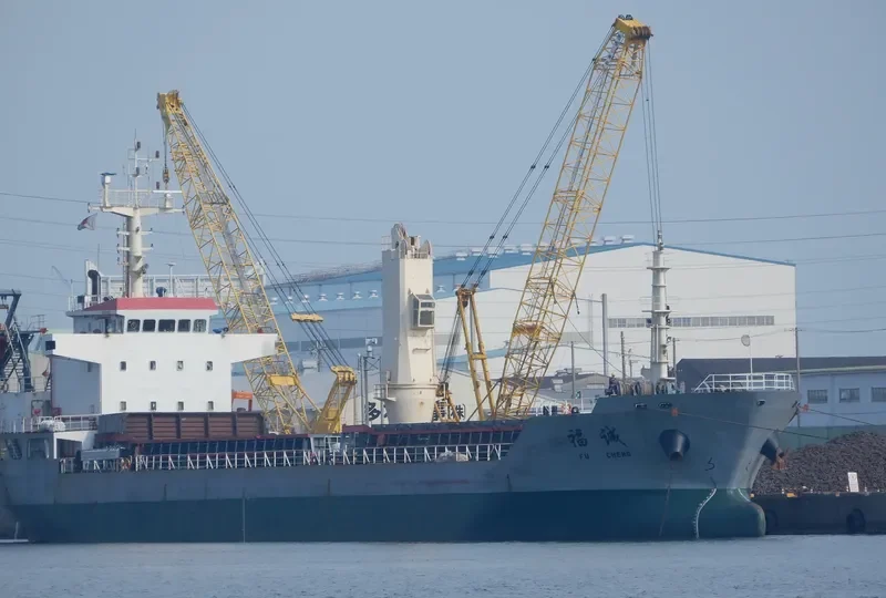 FU CHENG Bulk Carrier IMO 9576325 photo 9