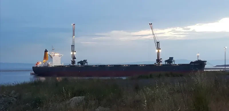 BERGE DHAULAGIRI Bulk Carrier IMO 9576337