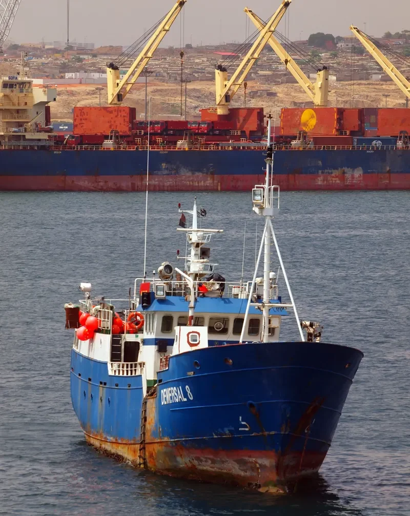 DEMERSAL 8 General Cargo IMO 9576521