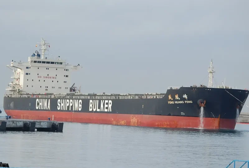 FENG HUANG FENG Bulk Carrier IMO 9576806 photo 2
