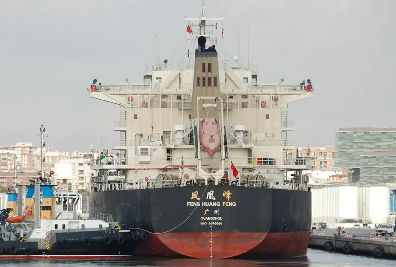 FENG HUANG FENG Bulk Carrier IMO 9576806 photo 6