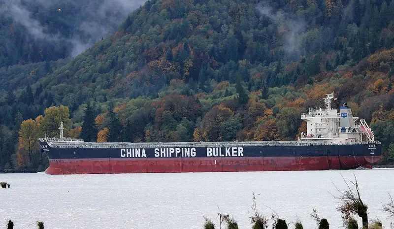 FENG HUANG FENG Bulk Carrier IMO 9576806 photo 7