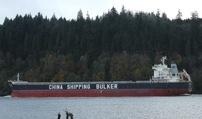 FENG HUANG FENG Bulk Carrier IMO 9576806 photo 10