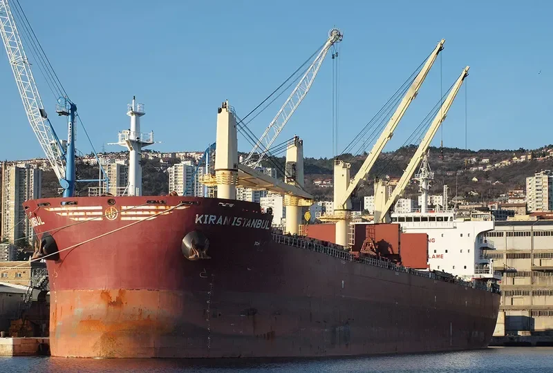 KIRAN ISTANBUL Bulk Carrier IMO 9576973 photo 5