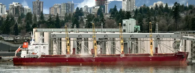KIRAN BOSPHORUS Bulk Carrier IMO 9576997 photo 5