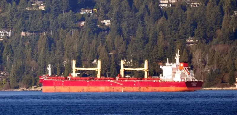 KIRAN CHINA Bulk Carrier IMO 9577006 photo 8