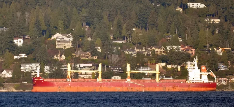 KIRAN CHINA Bulk Carrier IMO 9577006 photo 9