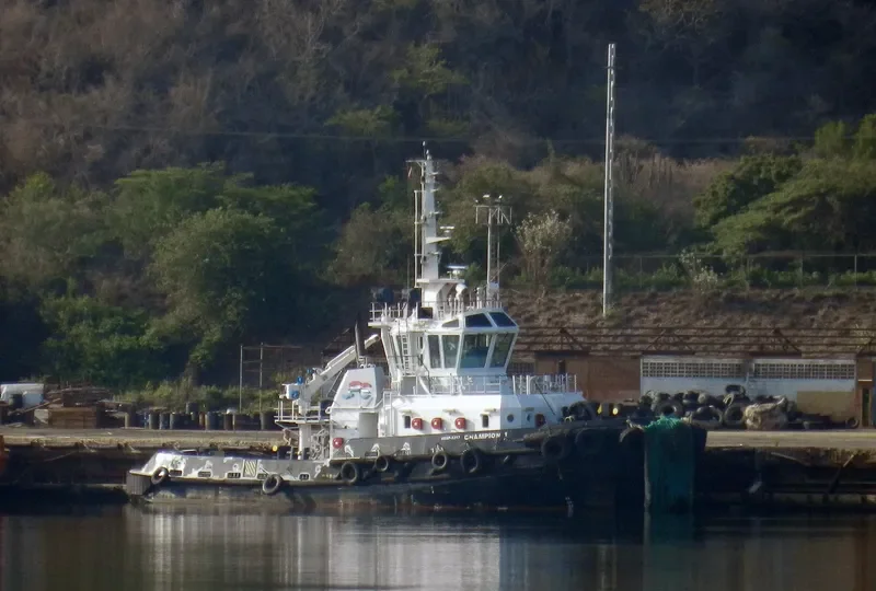 CHAMPION General Cargo IMO 9577226 photo 7