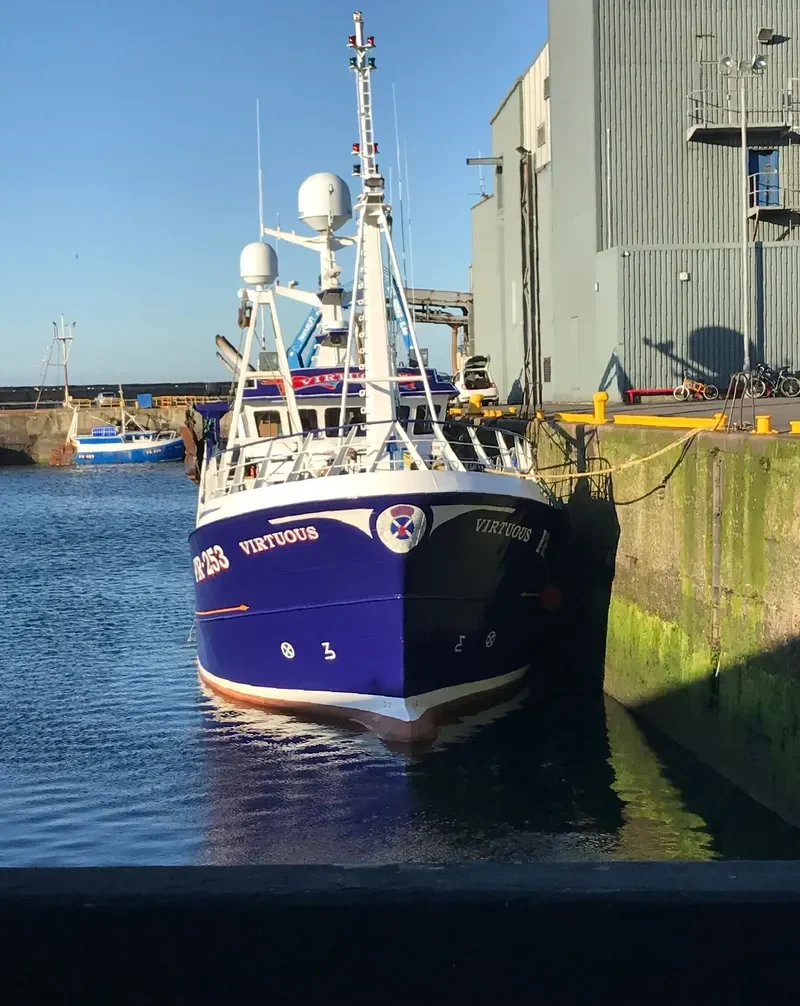 VIRTUOUS General Cargo IMO 9577252