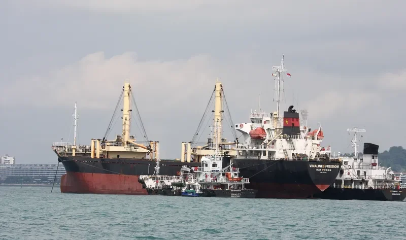 VIMC FREEDOM General Cargo IMO 9577317