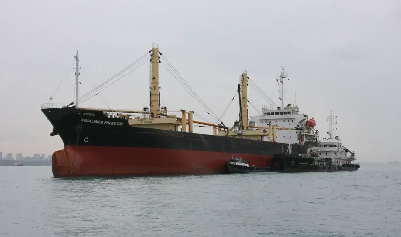 VIMC FREEDOM General Cargo IMO 9577317 photo 2