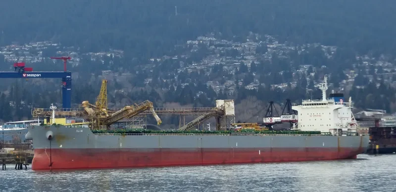 ILIA Bulk Carrier IMO 9577460 photo 3