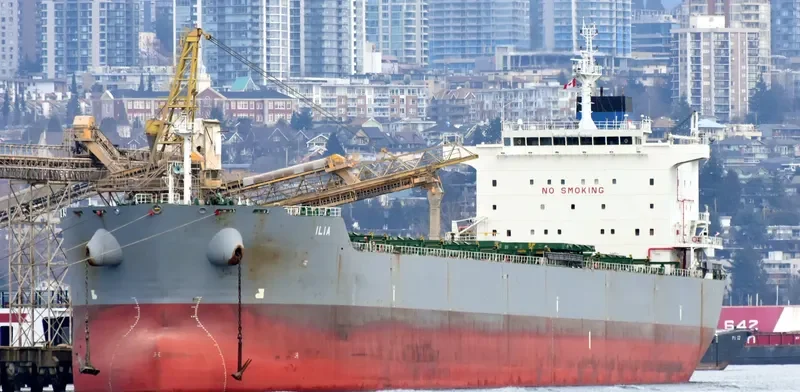 ILIA Bulk Carrier IMO 9577460 photo 4
