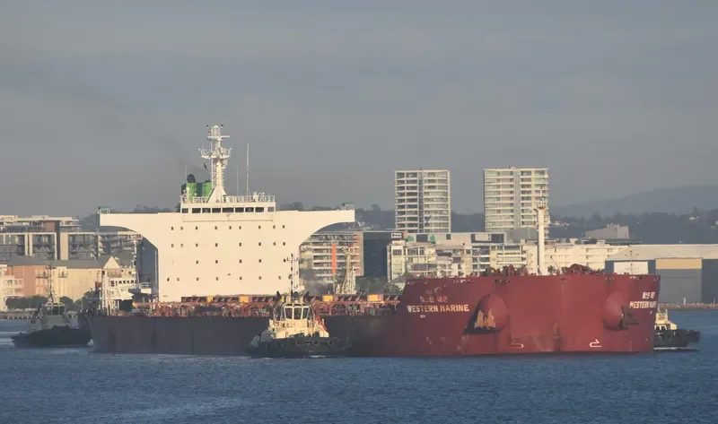 WESTERN MARINE Bulk Carrier IMO 9577549 photo 2