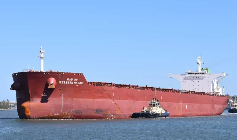 WESTERN MARINE Bulk Carrier IMO 9577549 photo 8