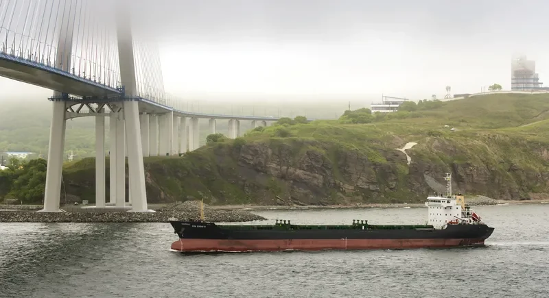 XIN ZHOU 6 Bulk Carrier IMO 9577575 photo 4