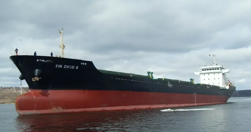 XIN ZHOU 6 Bulk Carrier IMO 9577575 photo 7
