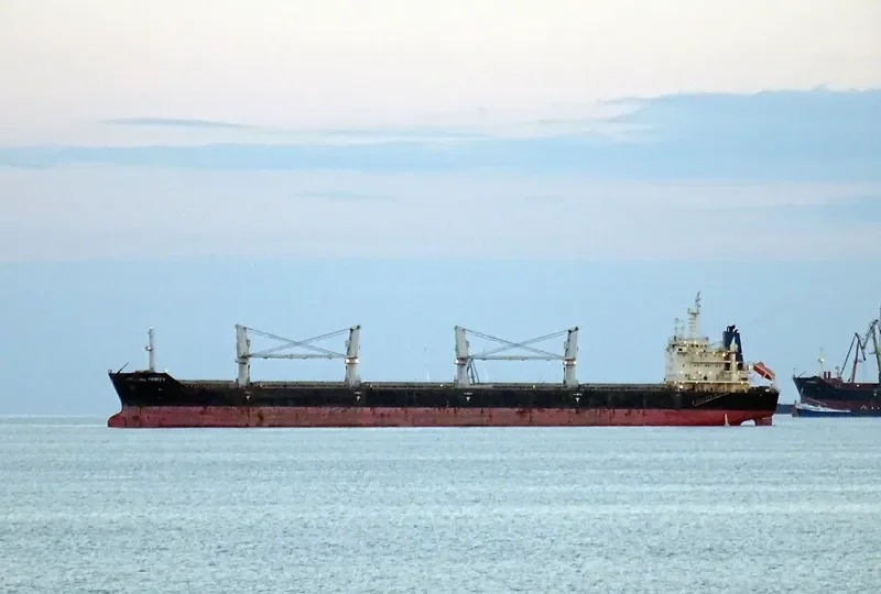 INTERLINK VERITY Bulk Carrier IMO 9577604 photo 6