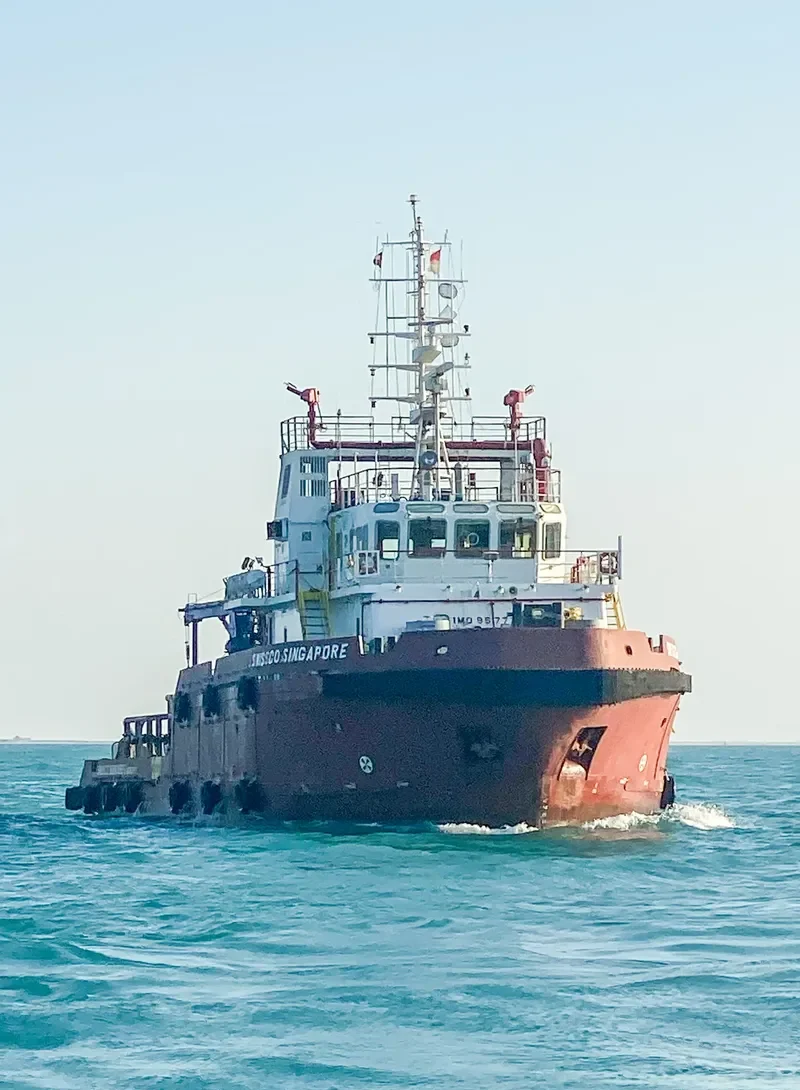 SWISSCO SINGAPORE General Cargo IMO 9577719 photo 2