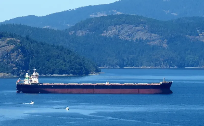 BERGE MATTERHORN Bulk Carrier IMO 9578610 photo 2