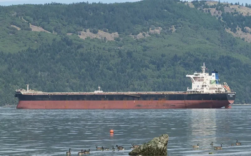 BERGE MATTERHORN Bulk Carrier IMO 9578610 photo 3