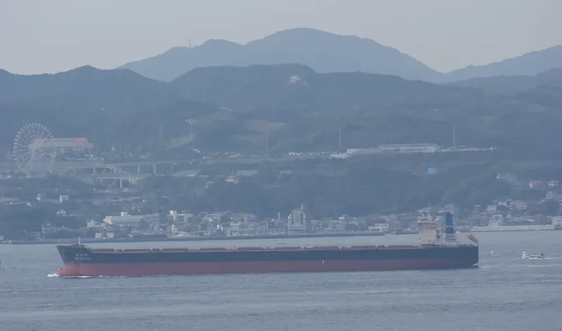 BERGE NANGA PARBAT Bulk Carrier IMO 9578622 photo 3