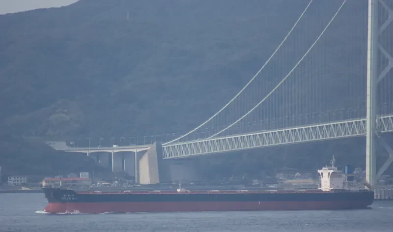 BERGE NANGA PARBAT Bulk Carrier IMO 9578622 photo 4